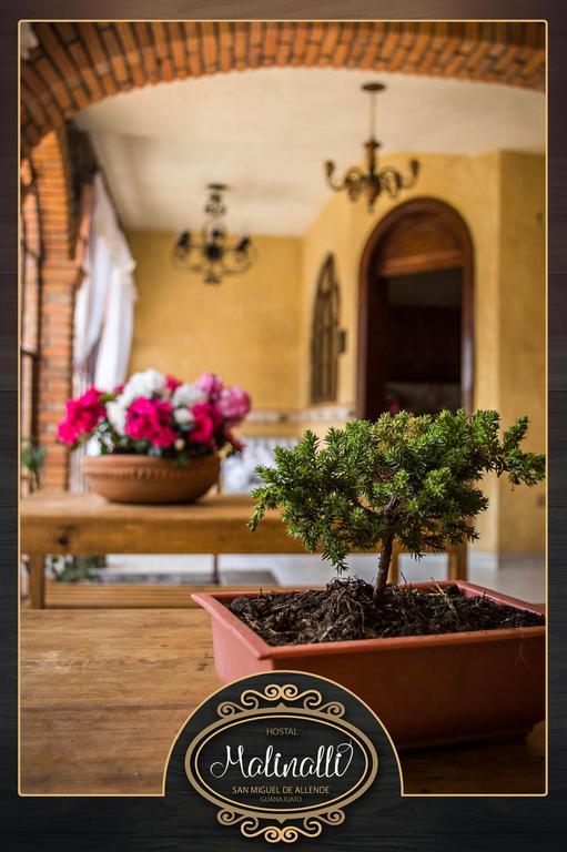 Hostal Malinalli San Miguel de Allende Exteriör bild